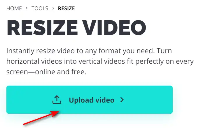 how to use Kapwing 17