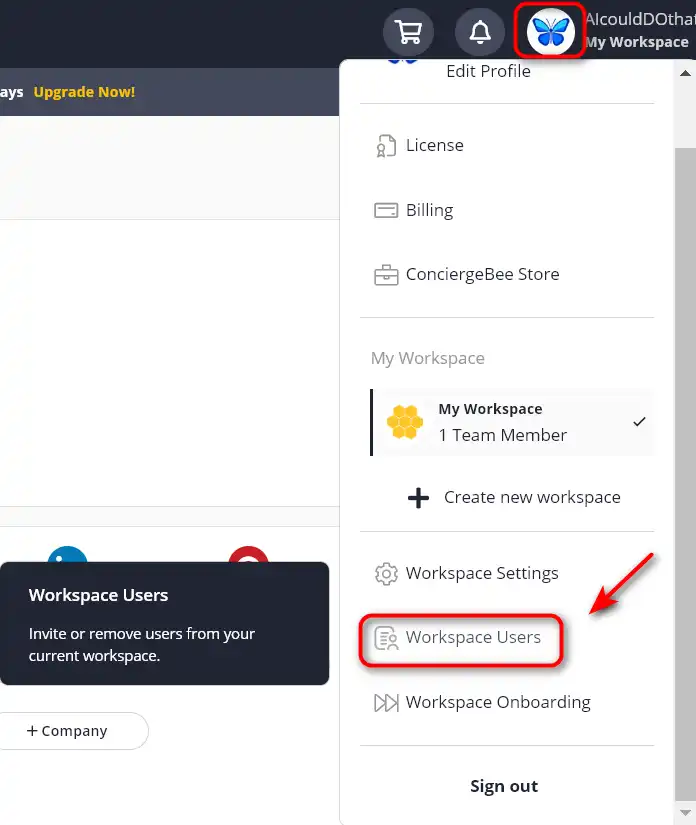 كيفية استخدام SocialBee 17